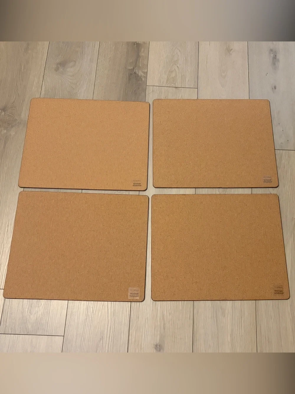 Williams Sonoma Spooky Dancing Skeletons Hardmat Placemat Halloween Set of 4